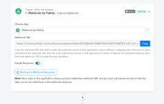 Pabbly - Webhook.png