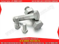 8.8-grade-hex-bolts-3.jpg