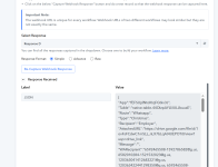 Issue with new Workflow.png