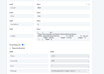 Error in Pabbly API.png