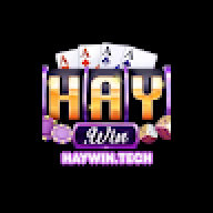 haywintech1