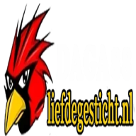 daga88liefdegesticht