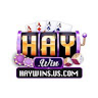 nchaywinsuscom