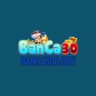 banca300dev