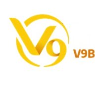 v9bethp