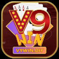 v9windiy