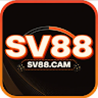 SV88cam1vn