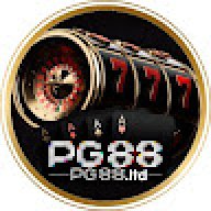 PG88ltd