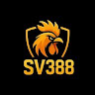 dagasv388biz