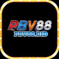 Pbv88bid1