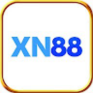 xn881net