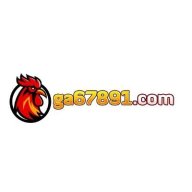 ga67891com1