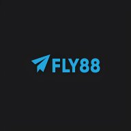 fly8856com