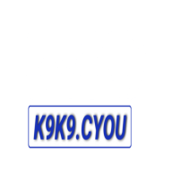 k9k9cyou