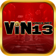vin13net