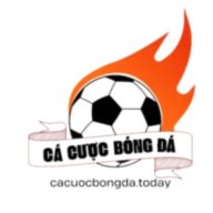 cacuocbongdatoday