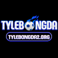tylebongda01