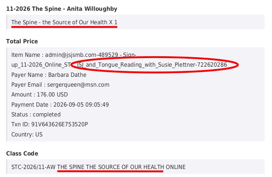 Paid-BarbaraDathe-Screenshot1.jpg