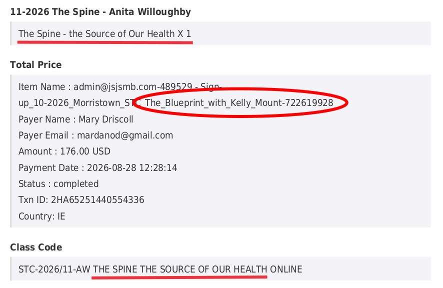 Paid-MaryODriscoll-Screenshot1.jpg