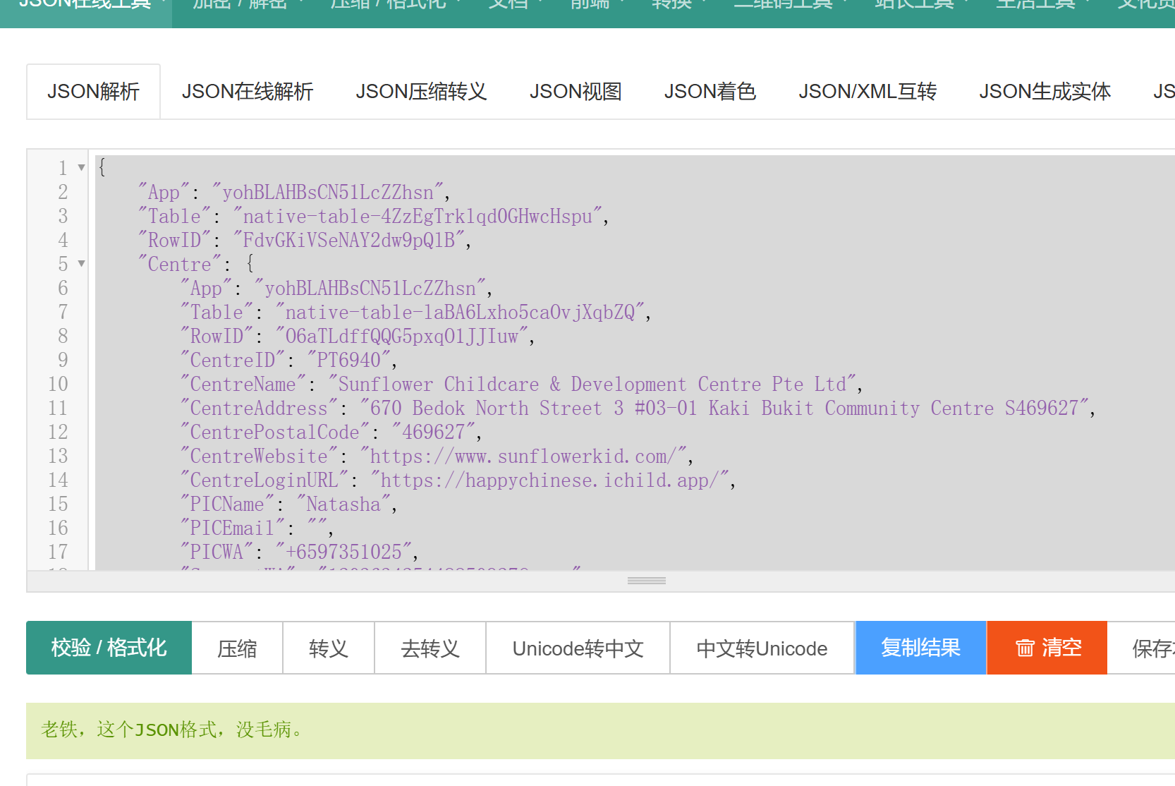 No Problem with the JSON Values.png